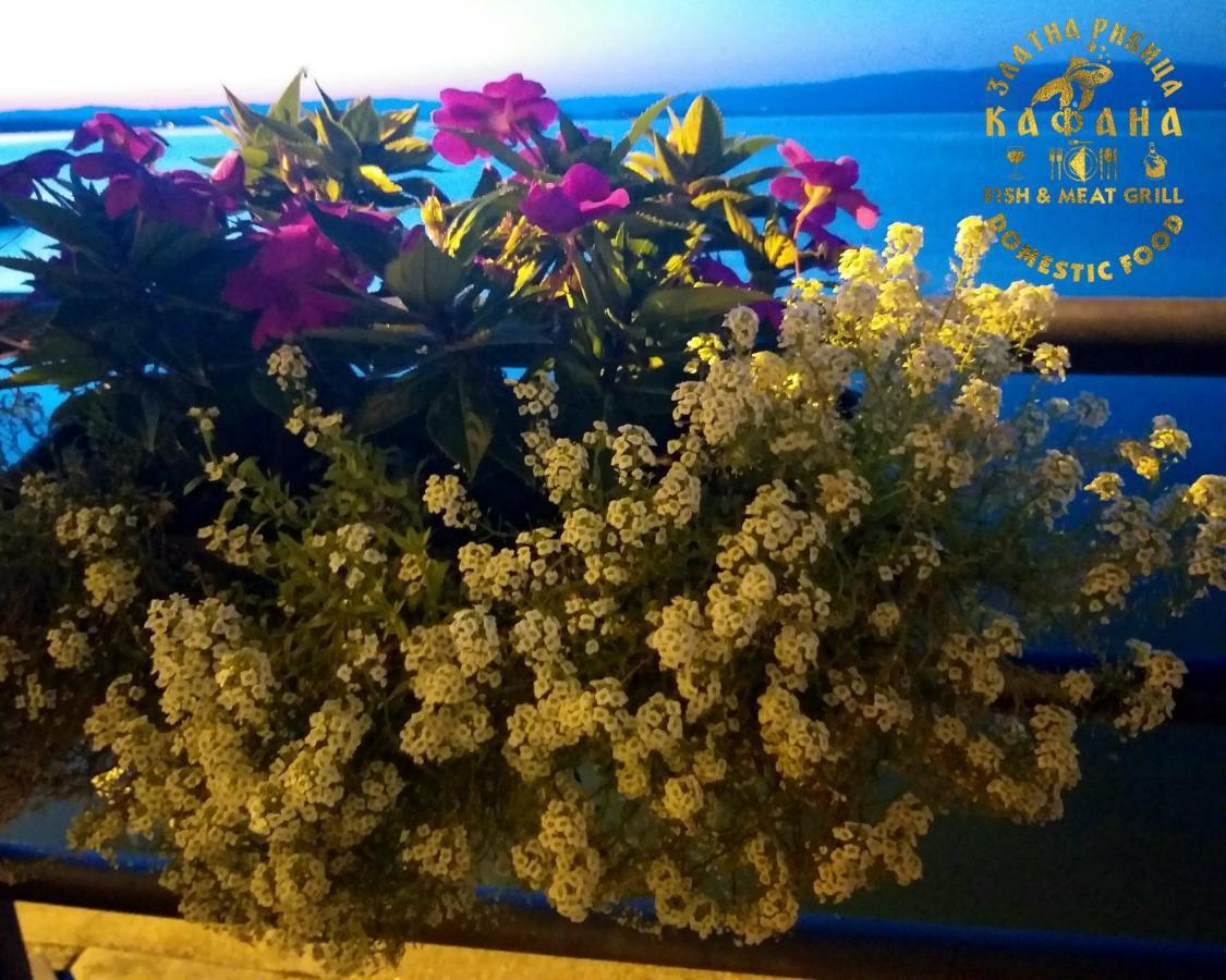 Ferienwohnung Zlatna Ribica Golubac Exterior foto