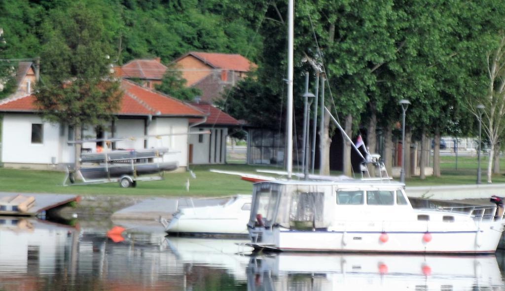 Ferienwohnung Zlatna Ribica Golubac Exterior foto
